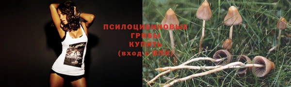 бошки Михайловка