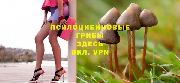 2c-b Медвежьегорск