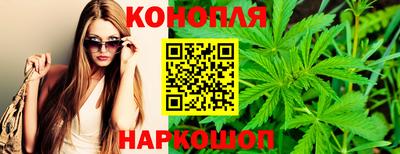 прущие грибы Гагарин