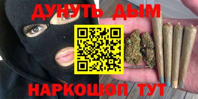 прущие грибы Гагарин