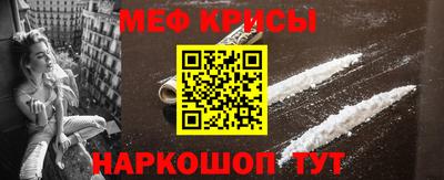 шишки Гай