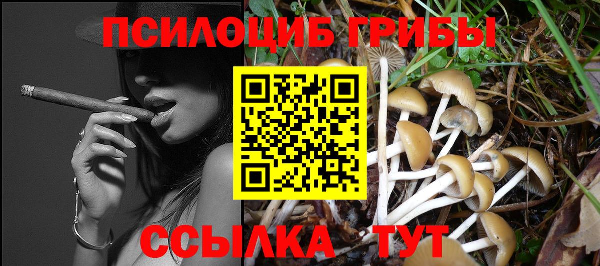 Карпинск  Галлюциногенные грибы MAGIC MUSHROOMS  Галлюциногенные грибы Cubensis  Вход с VPN 