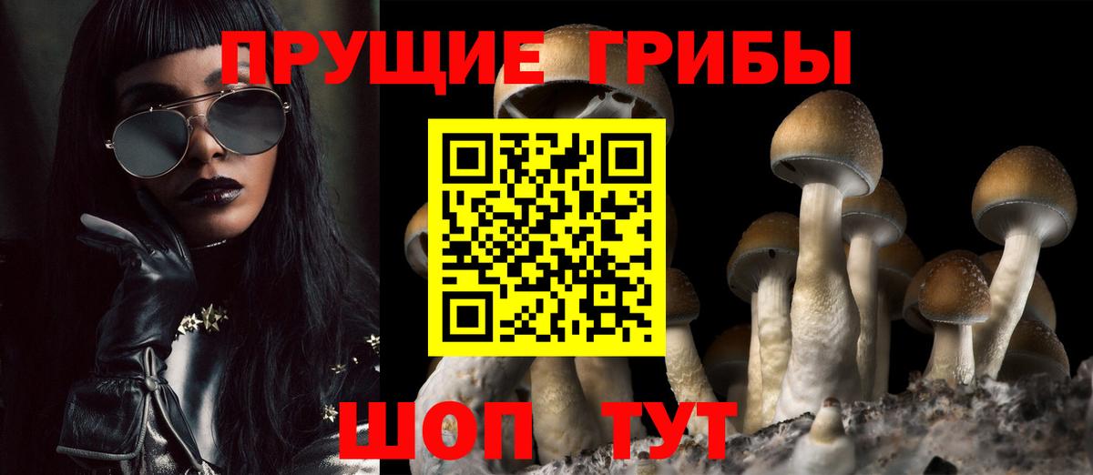 Галлюциногенные грибы прущие грибы Карпинск